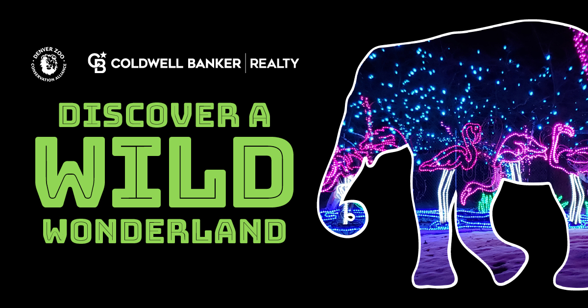 25BGNR_CBR_CFL_Colorado - Zoo Lights - Oct 25-CBR_SOCIALS_boost_Lrg